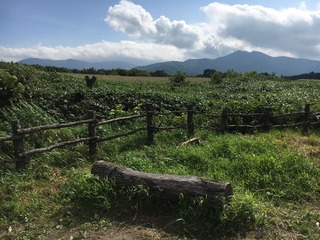 90C441E3-EE7B-432F-BCDD-D63D743A0F5E.jpeg